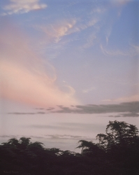 Colors of the Wind