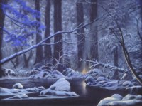 The Stillness of Winter