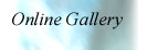 Return to the Gallery