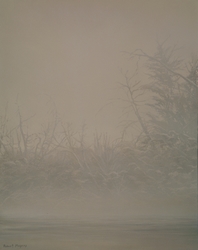 The Fog of Dawn